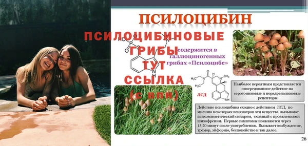 герыч Богданович