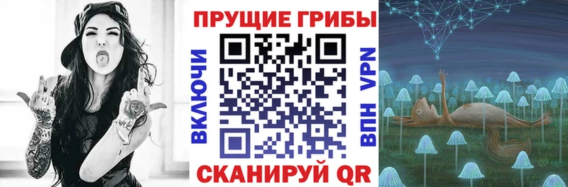 darknet наркотические препараты  Малая Вишера  Псилоцибиновые грибы Psilocybe 